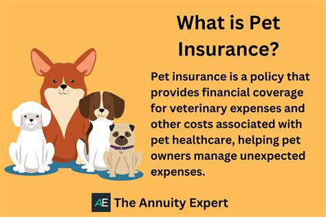 most accepted pet insurance.